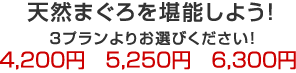 しゃぶしゃぶ食べ放題　特別プラン（90分） 3,980円